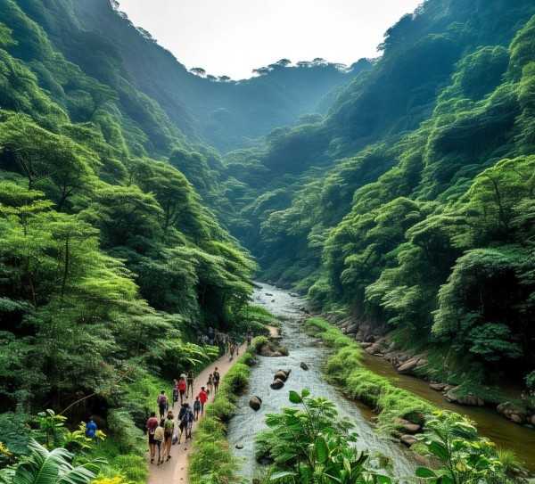 海南岛万宁，生态之旅攻略指南,万宁旅游景点攻略，探寻海南岛上的生态天堂,旅游,历史文化,探险,第1张